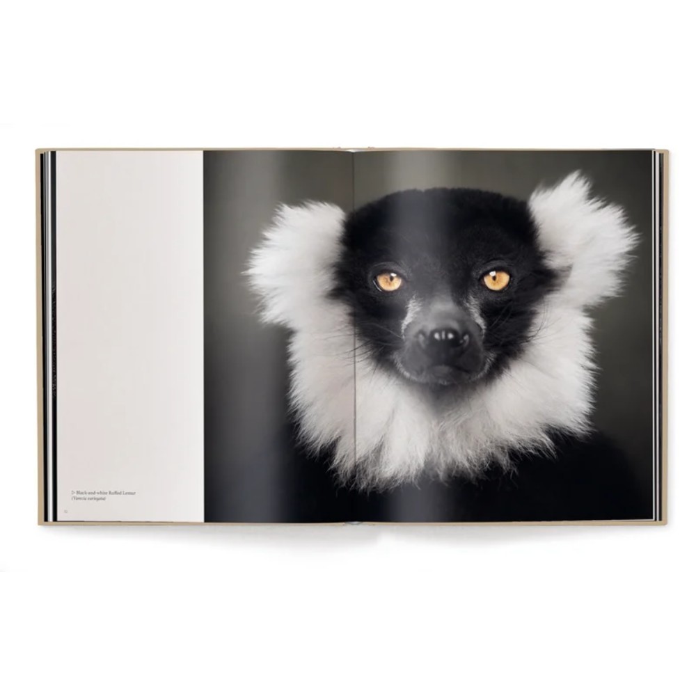 Книга на английском языке "Between Us. Animal Portraits" HB, Vincent Lagrange - 3