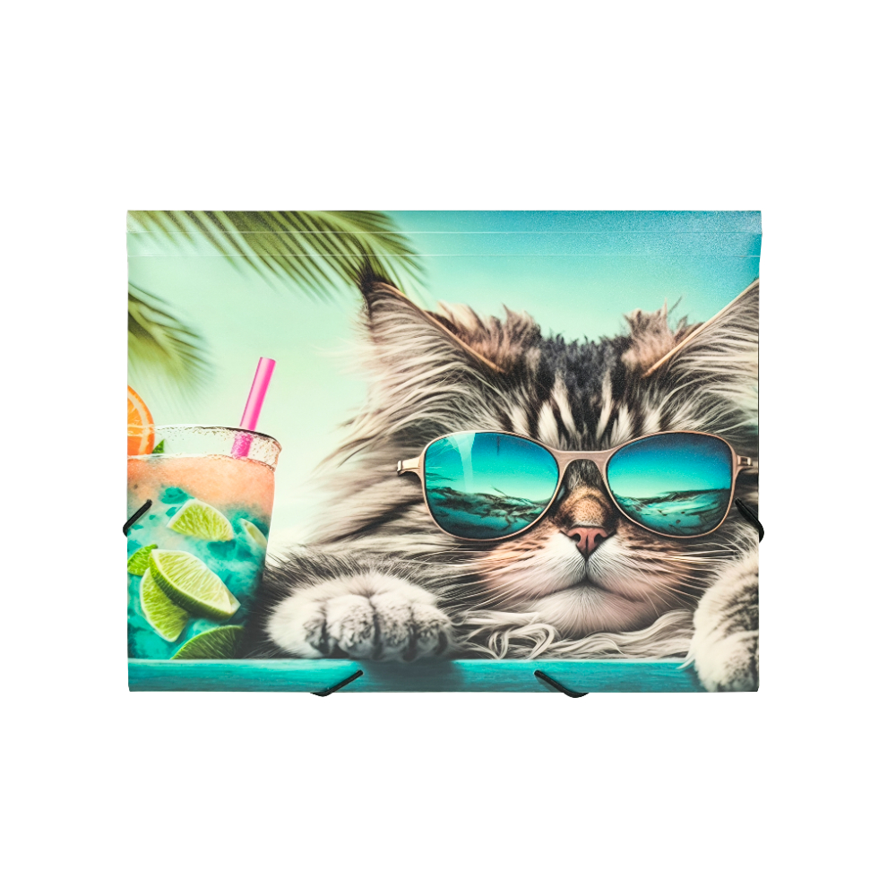 Папка на резинках "Chillout cat", пластик, 15 мм