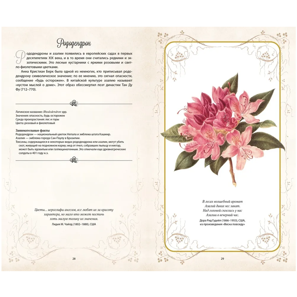 Книга "Тайный язык цветов", Джилл Дэвис, Джилл Сондерс - 5