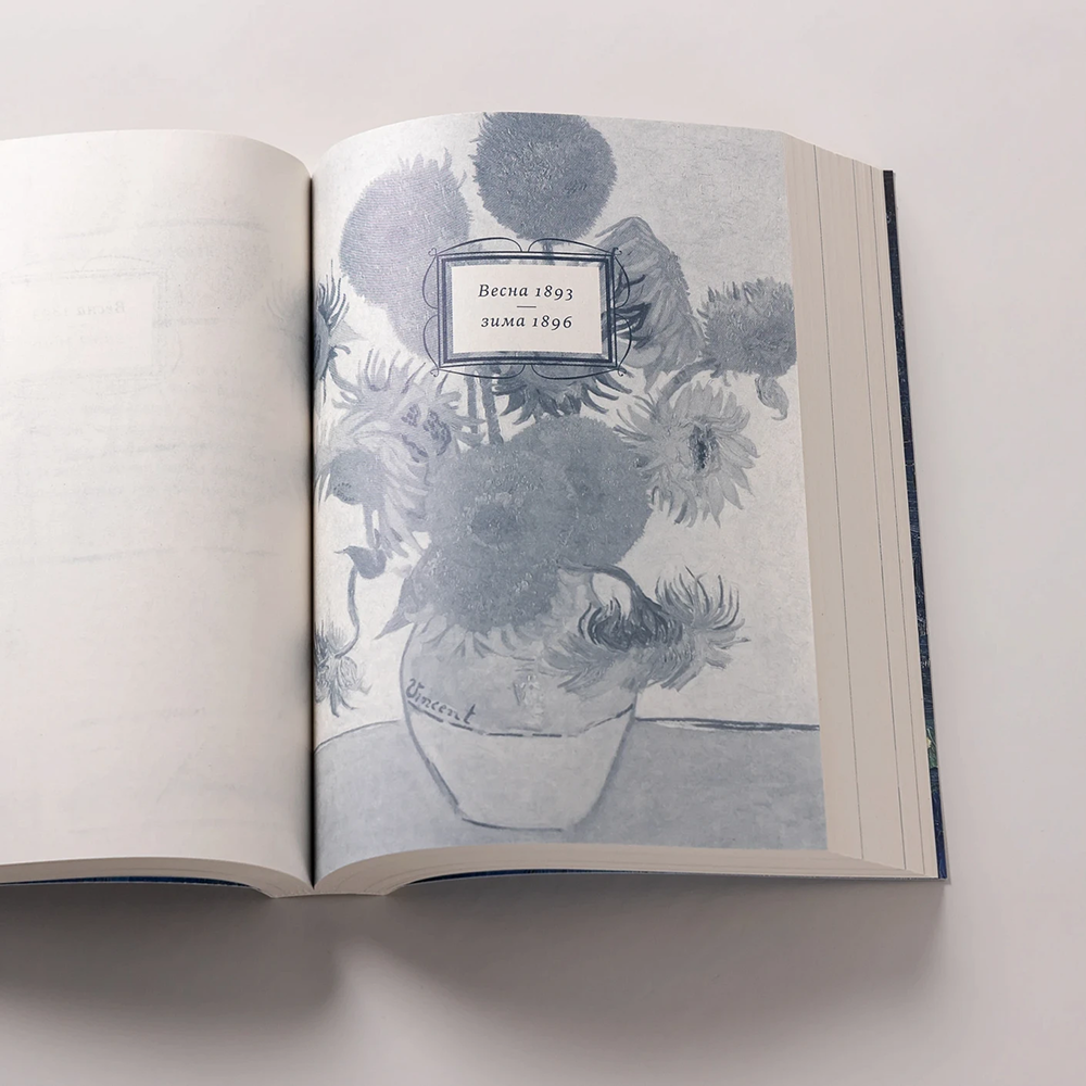 Книга "Спасая Винсента", Джоан Фернандес - 6
