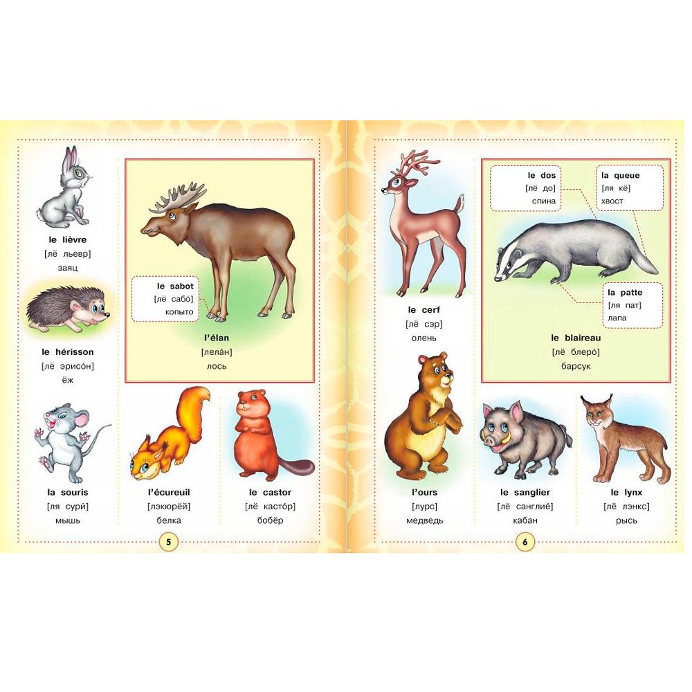 Книга "Французско-русский визуальный словарь для детей" - 4
