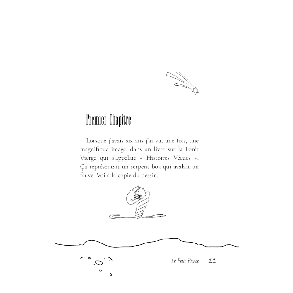 Книга на французском языке "Le Petit Prince", Антуан де Сент-Экзюпери - 8