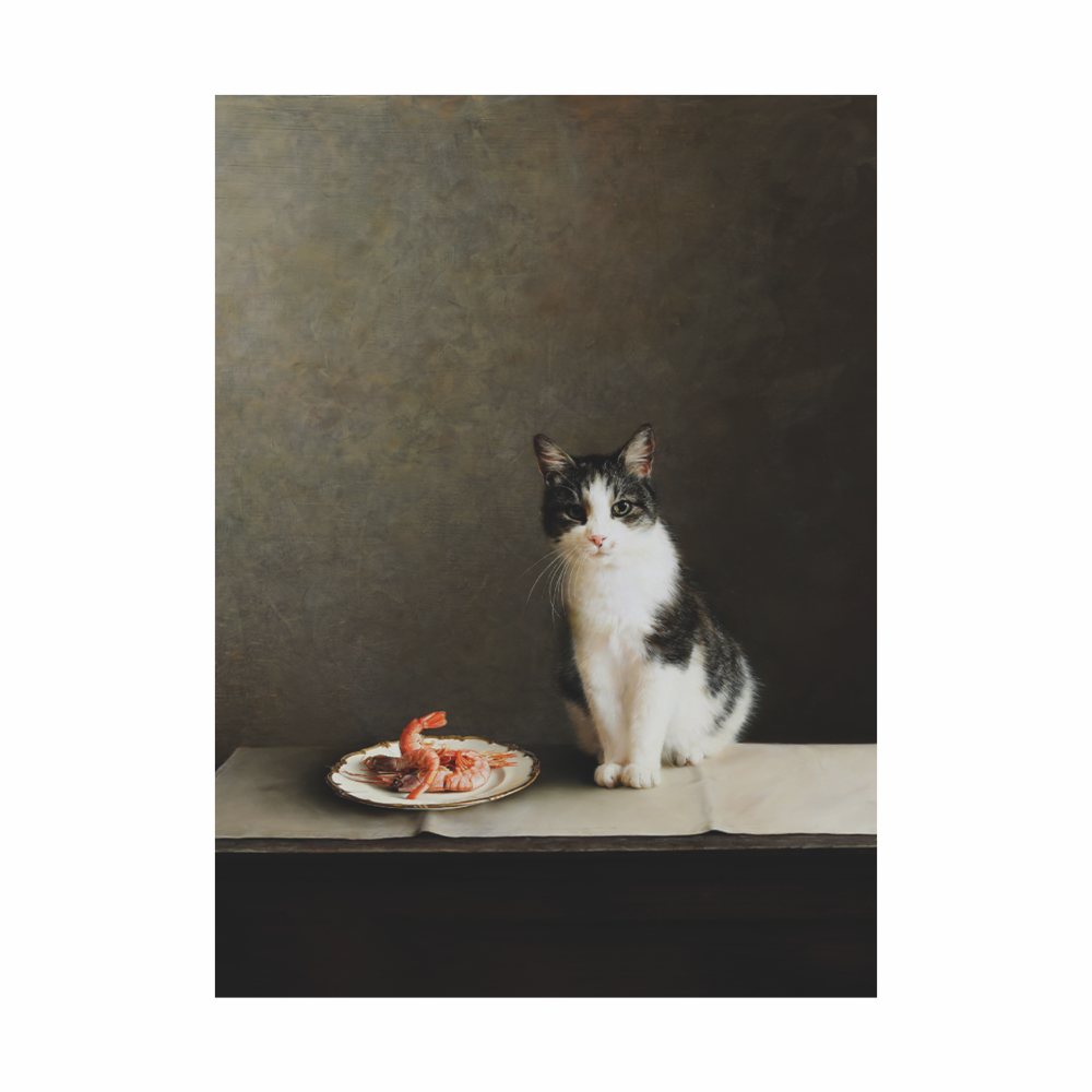 Чехол для карт "Креветки для музы", Алеся Скоробогатая, натуральная кожа, разноцветный