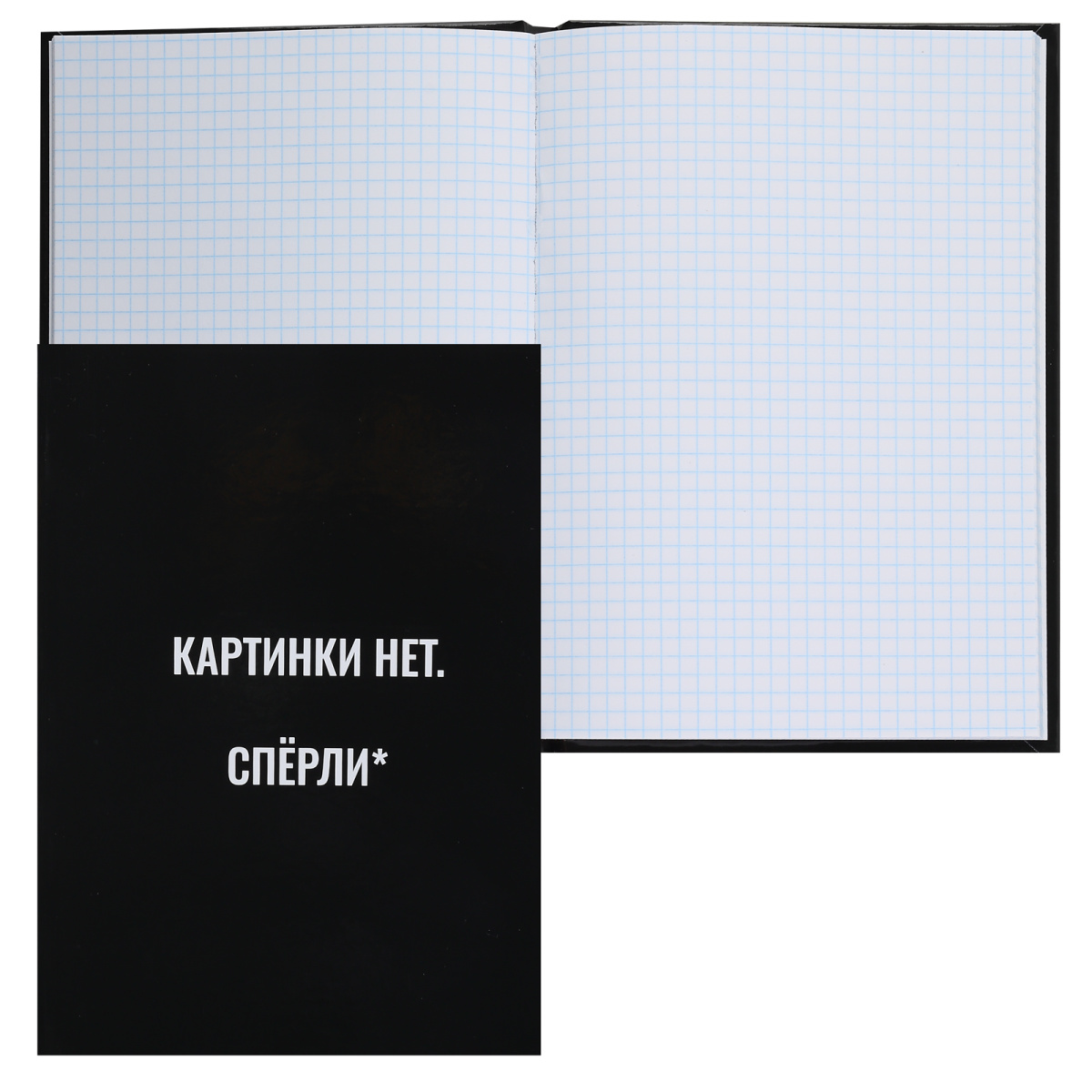 Книга записная "Картинки нет", А5, 145x205 мм, 80 листов, в клетку, черный