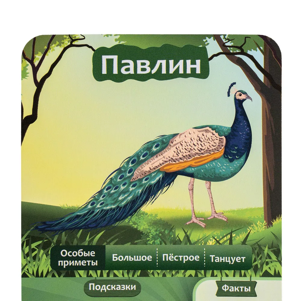 Игра настольная "10 вопросов. Животные"