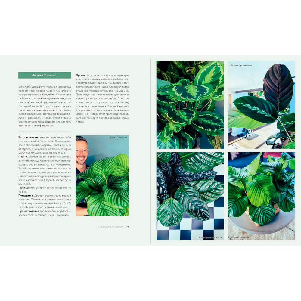 Книга "Urban Jungle. С любовью к растениям", Андерс Рёйнеберг, Эрик Шервен - 16