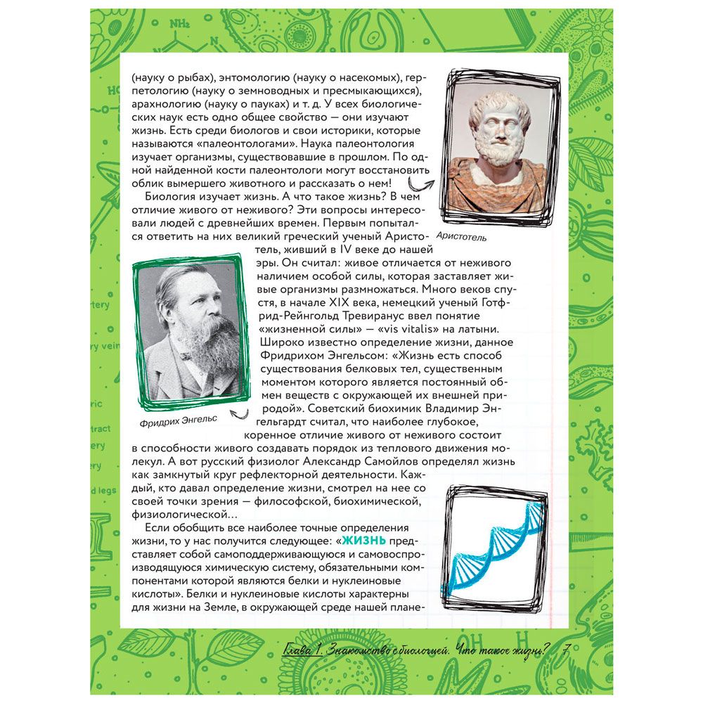 Книга "Увлекательно о биологии: в иллюстрациях", Андрей Шляхов - 6
