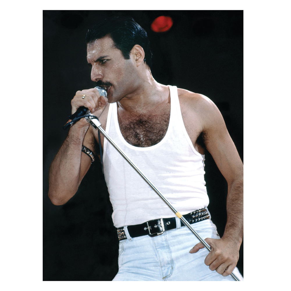 Книга "Фредди Меркьюри: иллюстрированная биография", Блейк Марк - 12