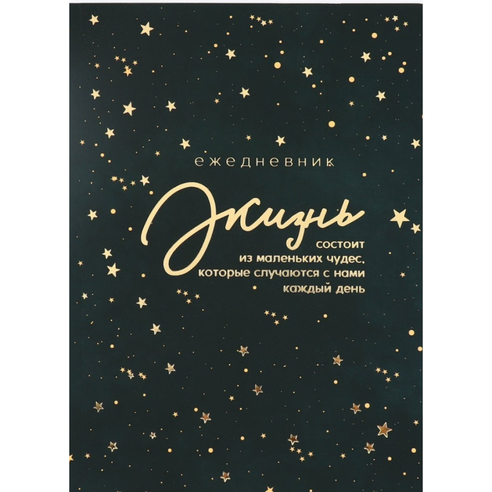 Ежедневник недатированный "Жизнь", А5+, 200 страниц, черный