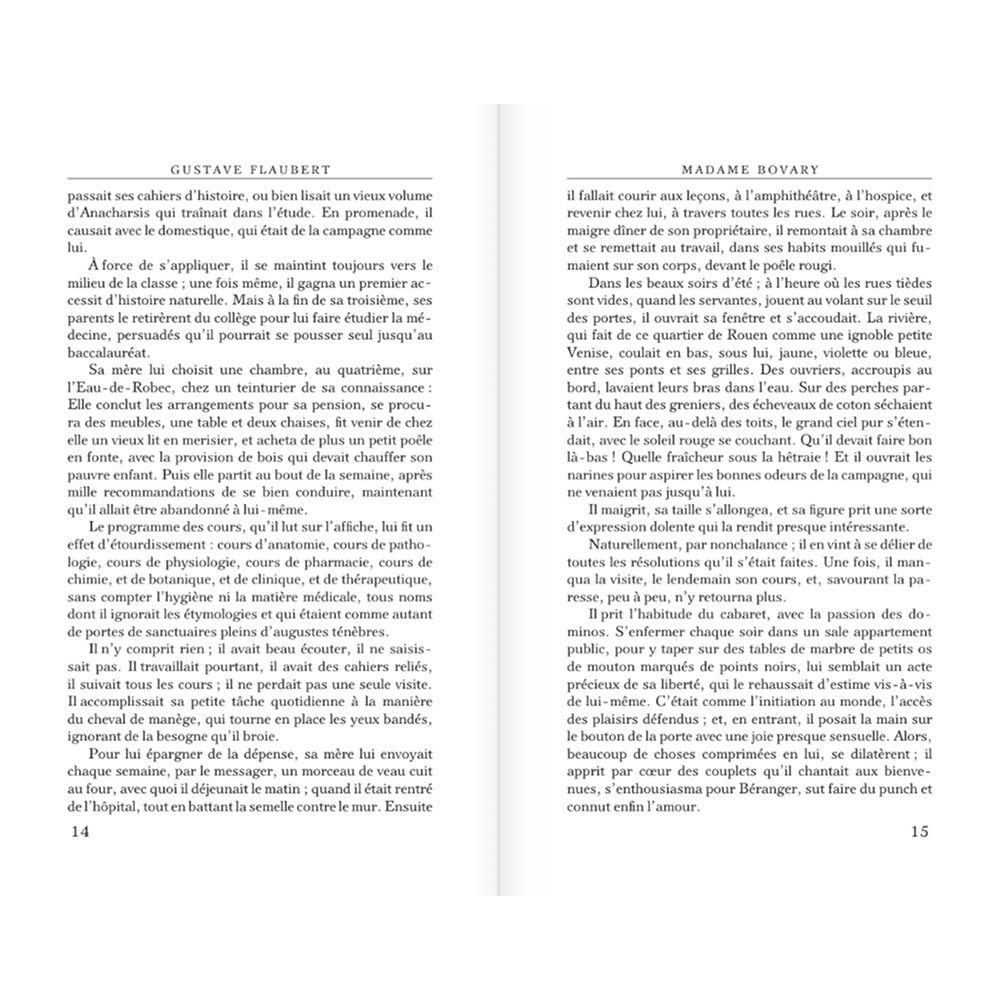 Книга на французском языке "Madame Bovary", Гюстав Флобер - 9