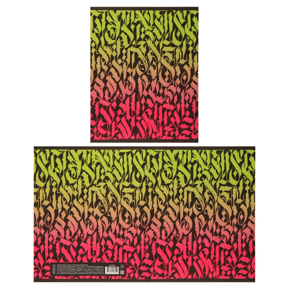 Тетрадь "Calligraphic", А5, 48 листов, клетка, ассорти - 5