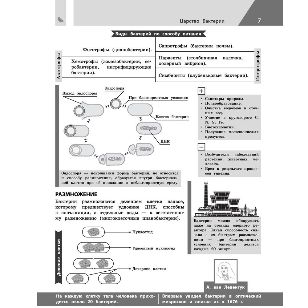 Книга "Биология в инфографике", Оксана Мазур - 6