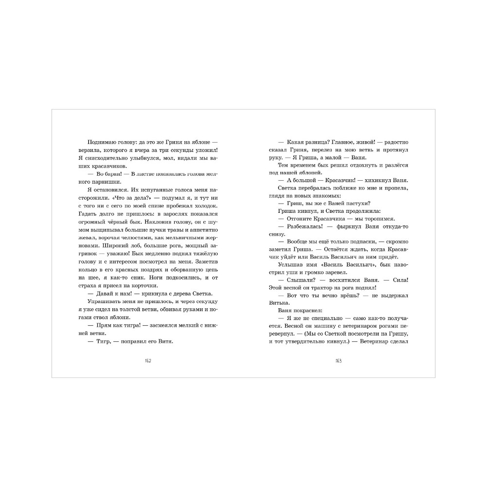 Книга "Деревня Гусиные Лапки. Три истории в одной книге", Андрей Снесарь - 6