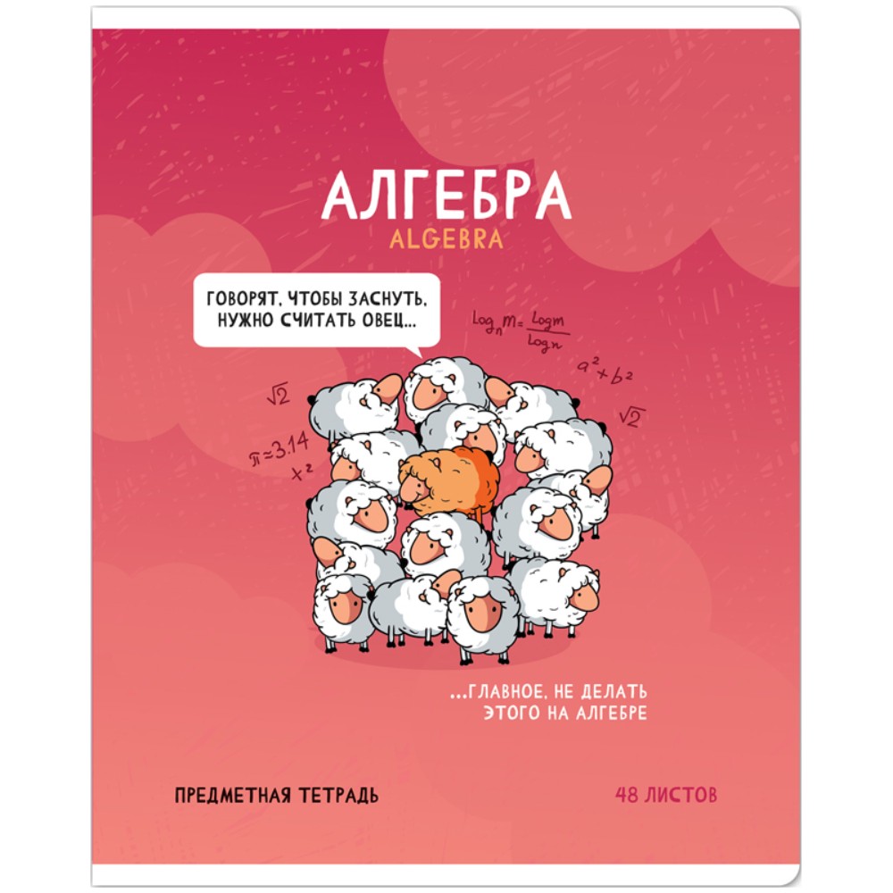 Тетрадь предметная "Не по правилам. Алгебра", A5, 48 листов, клетка  