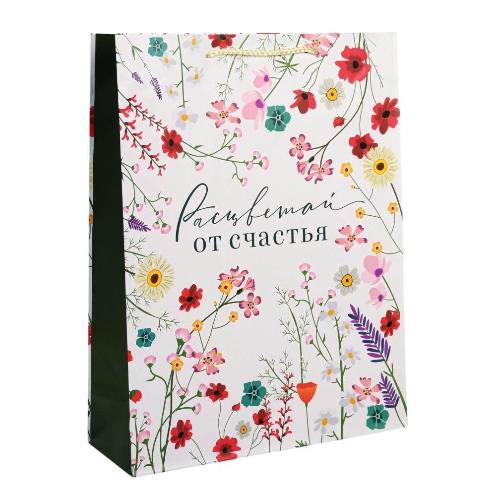 Пакет бумажный подарочный "Расцветай от счастья", 28х38х9 см, ламинированный, разноцветный