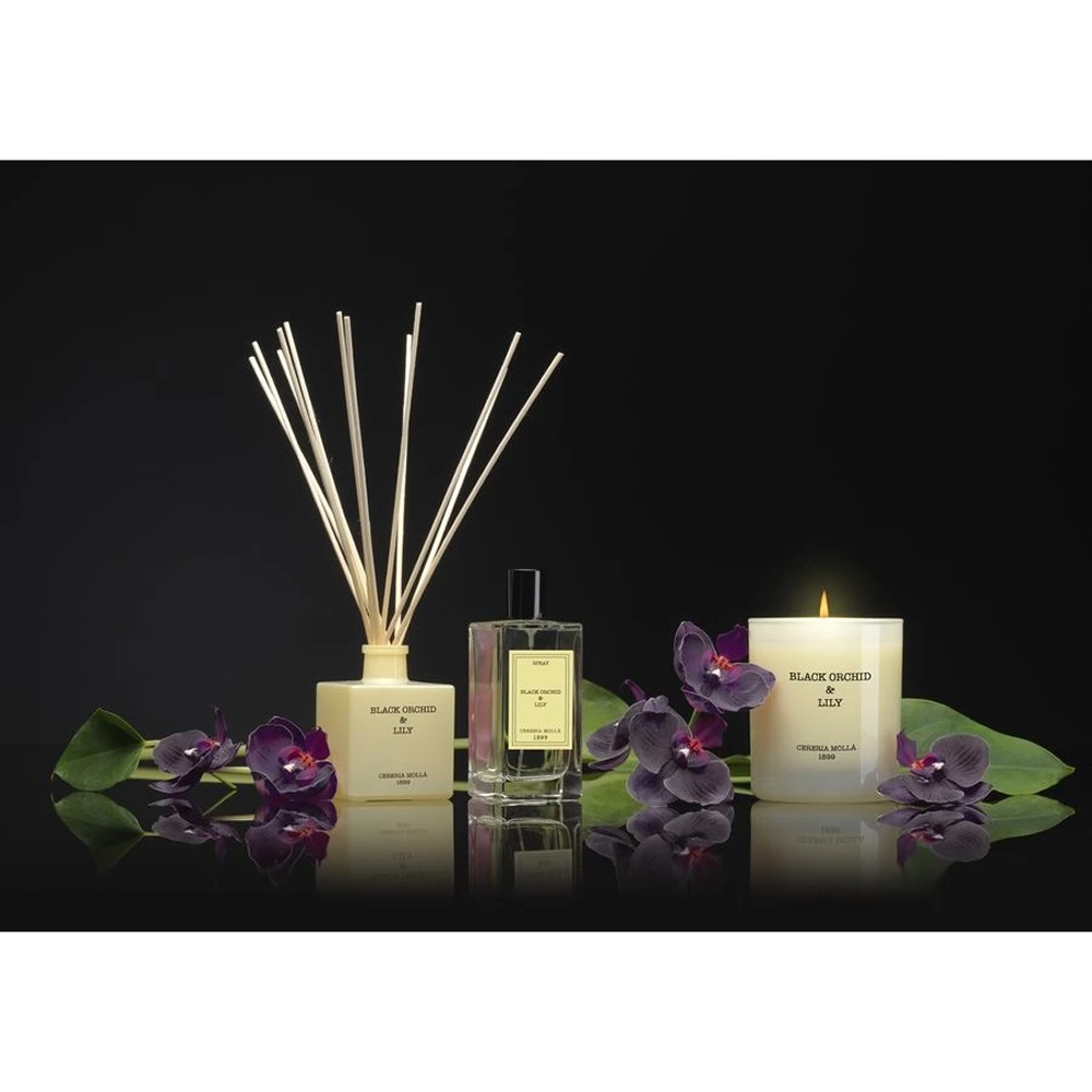 Свеча ароматическая CERERIA MOLLA "Black Orchid & Lily", 230 гр., подарочная упаковка