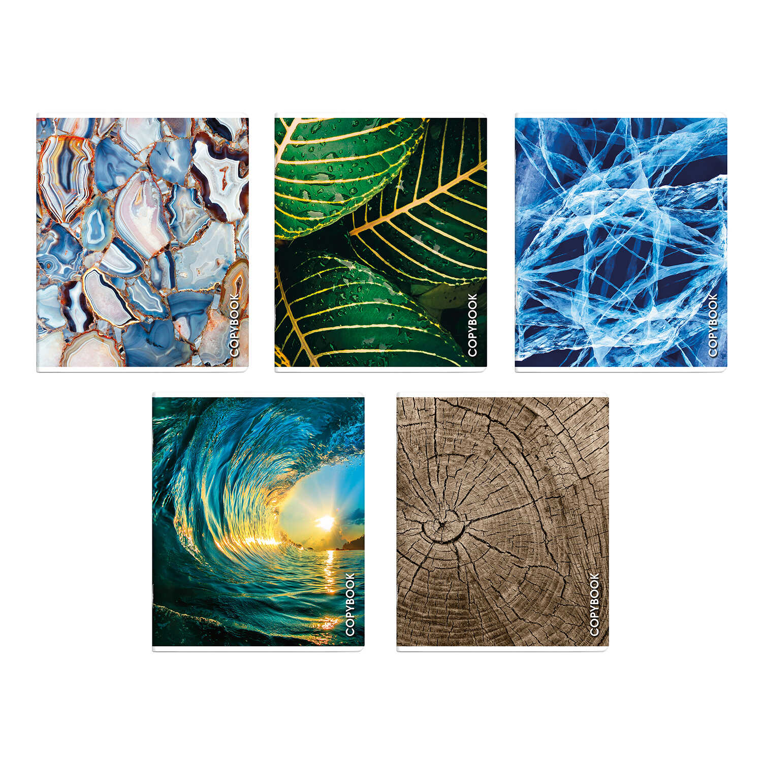 Тетрадь Феникс+ "Макросъемка" А5+, 96 листов, клетка, ассорти