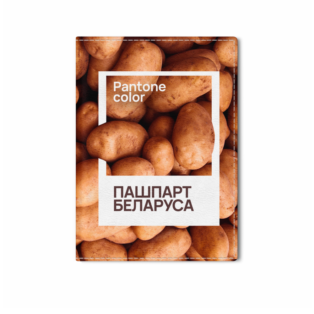 Обложка для паспорта "Pantone", натуральная кожа, разноцветный