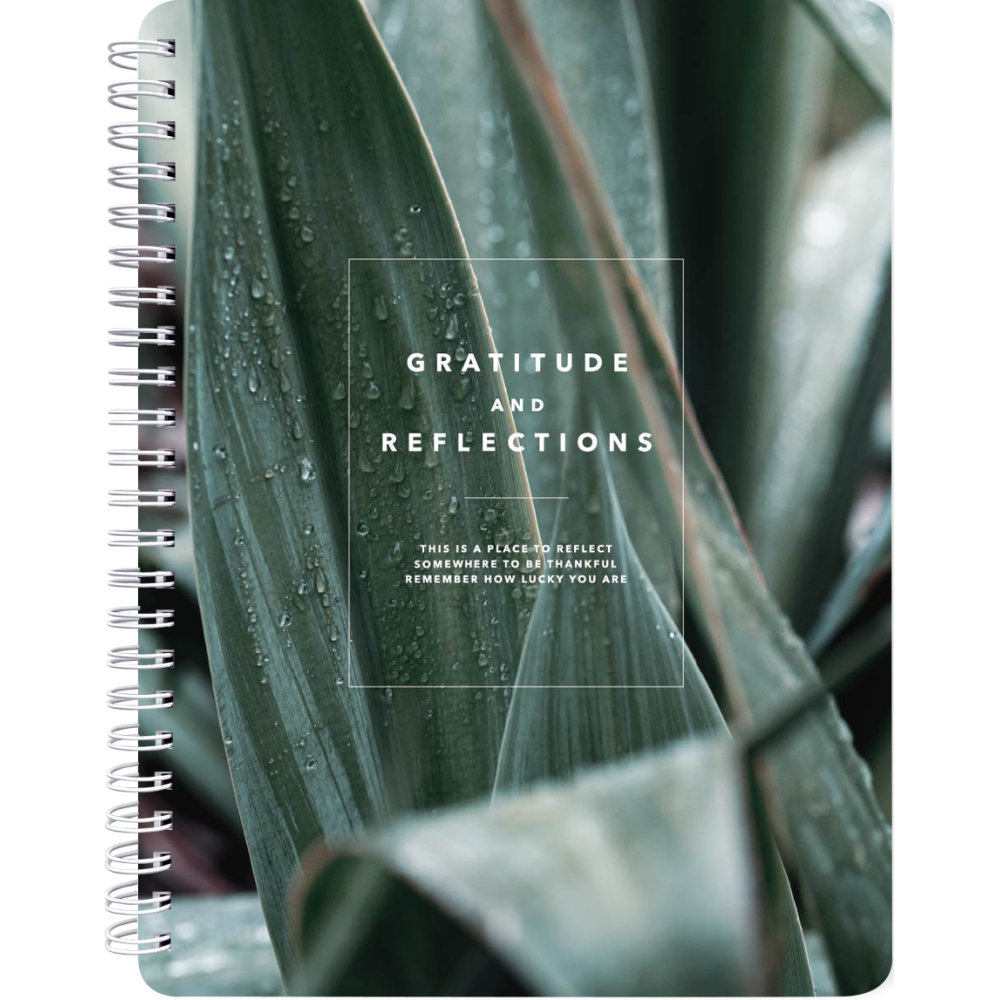 Тетрадь "Botanica агава", А5, 80 листов, клетка, разноцветный