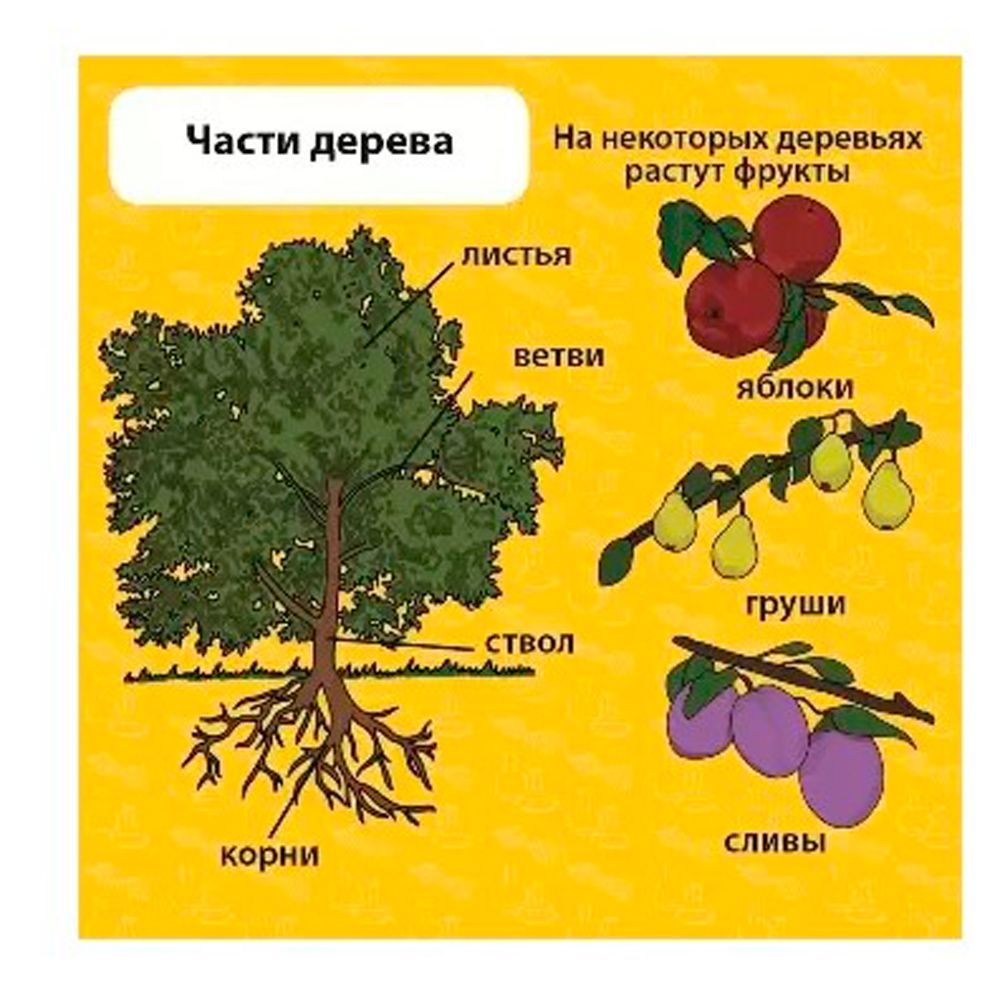 Игра настольная "Сундучок знаний "Мои первые знания" - 5