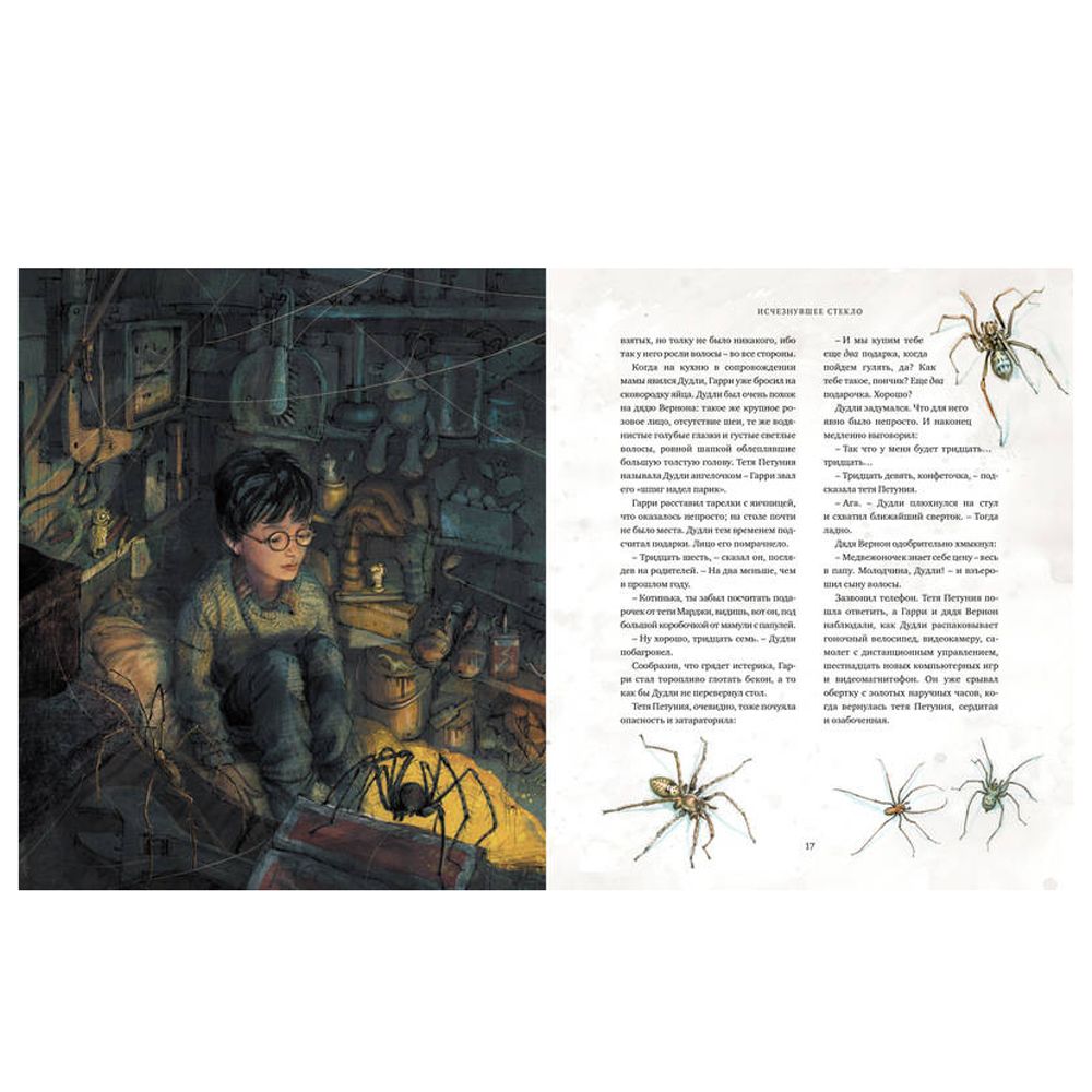 Книга "Гарри Поттер и Философский камень" с цветными иллюстрациями, Роулинг Дж.К