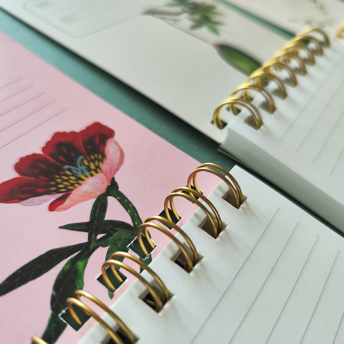 Блокнот Bruno Visconti "Cute Journal. Баобаб", В6, 100 листов, в линейку, разноцветный - 4