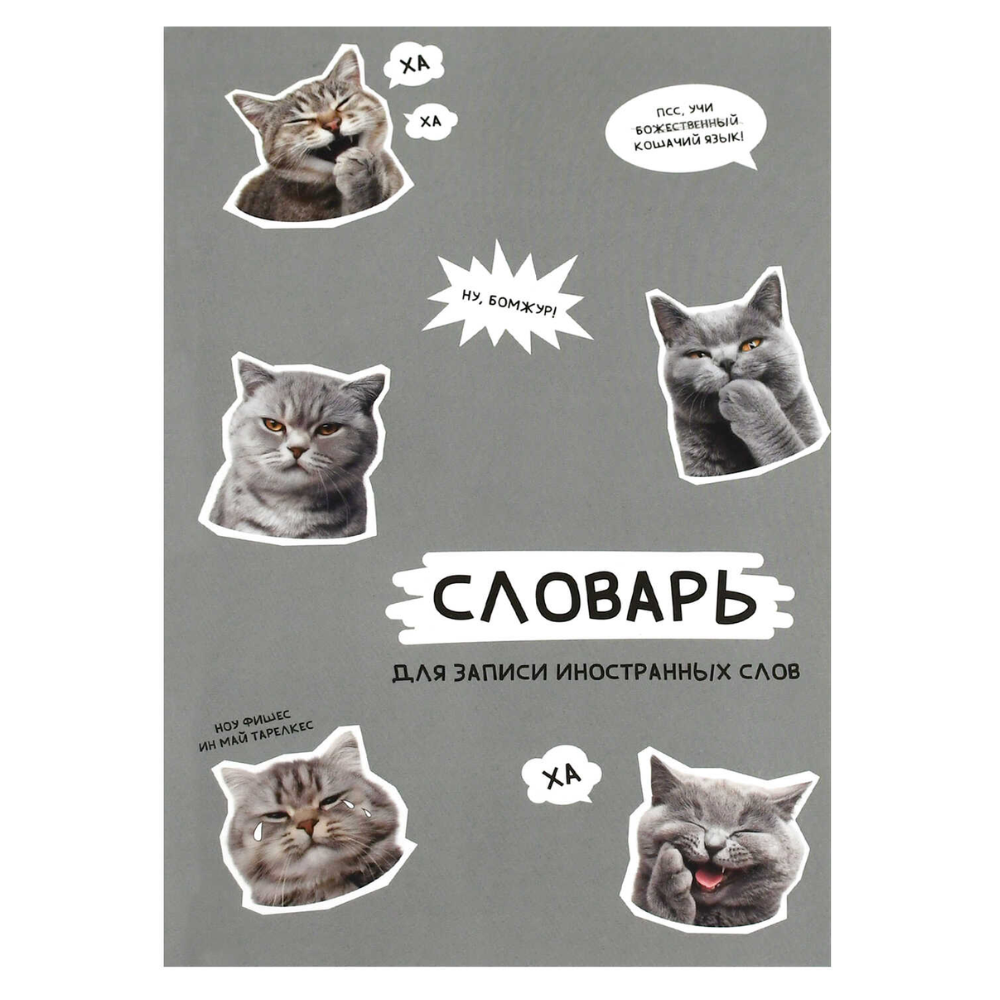 Тетрадь для записи иностранных слов "Стикеры с котами", А5, 24 листа, серый