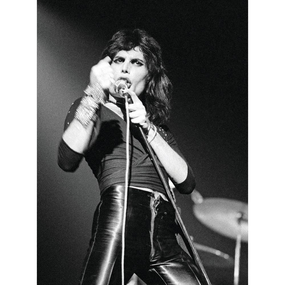 Книга "Фредди Меркьюри: иллюстрированная биография", Блейк Марк - 8