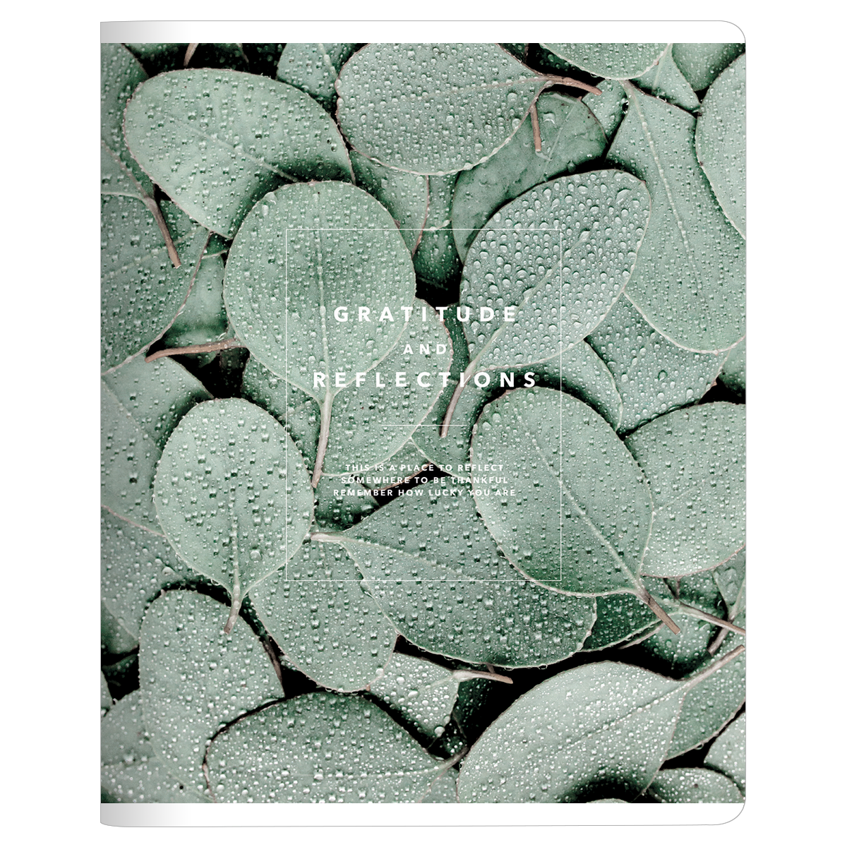 Тетрадь А5 48 л., клет. "Botanica эвкалипт рамка" скоба сбоку, гибк. обл., мат. ламинация, разноцветный