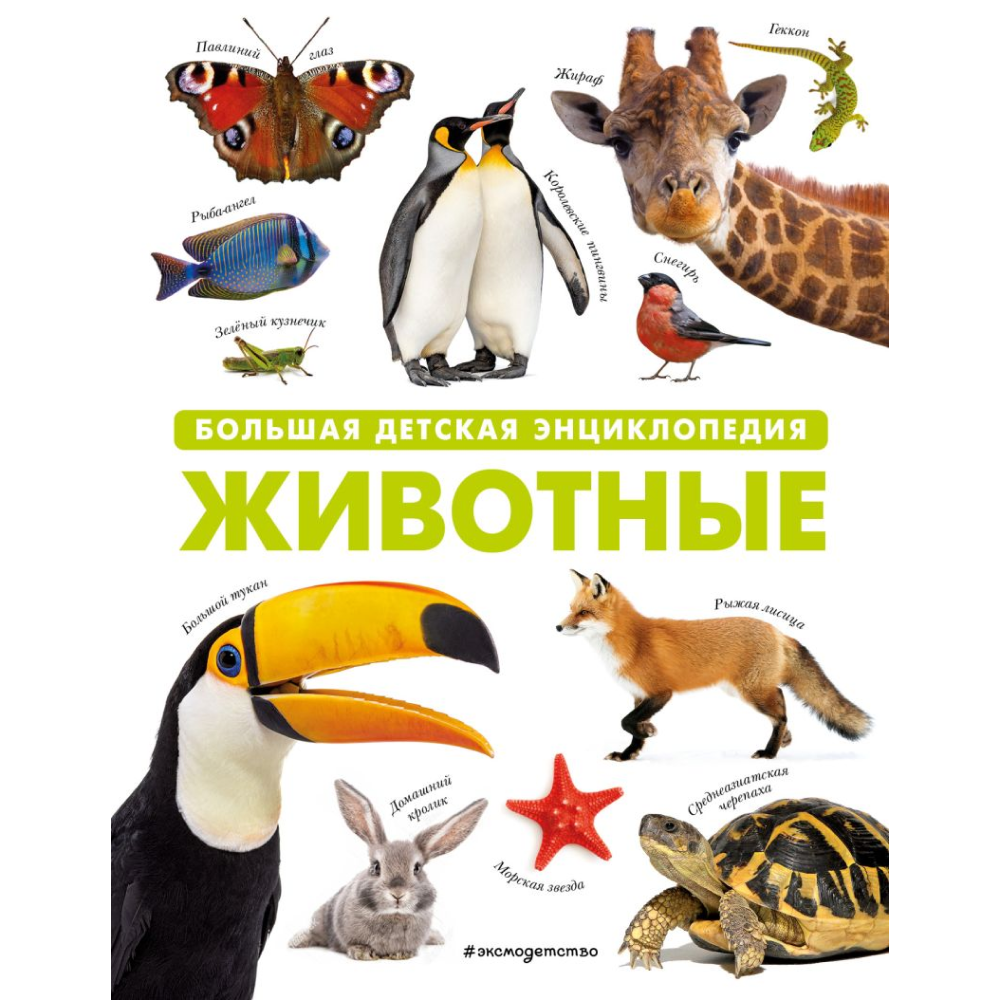 Книга "Животные. Большая детская энциклопедия"