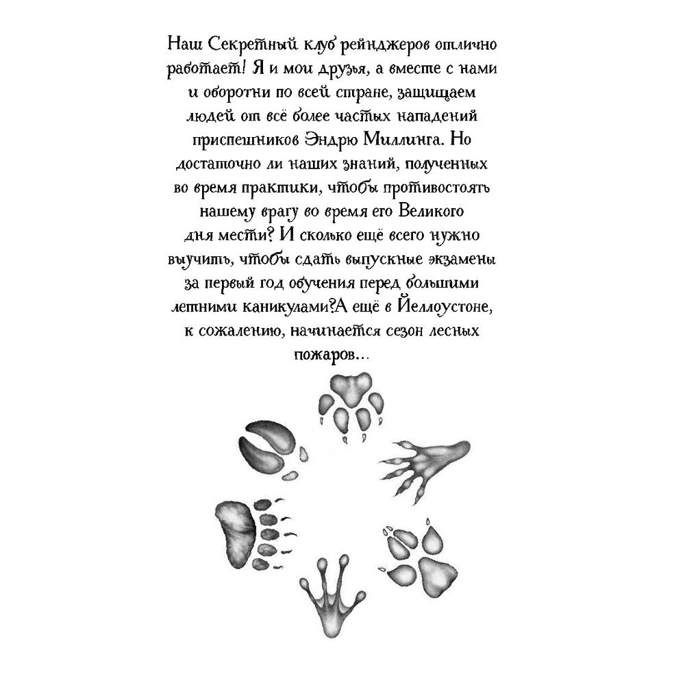 Книга "День огня (#6)", Катя Брандис - 3