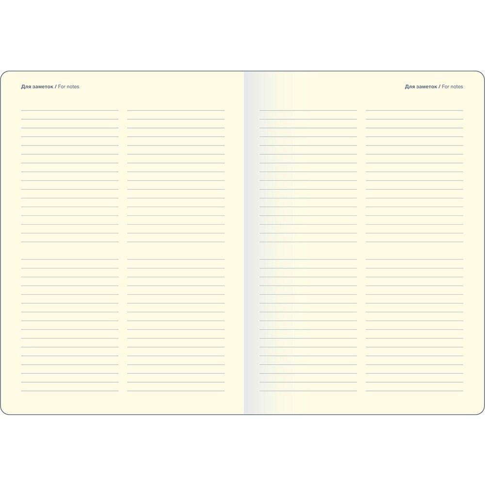 Ежедневник недатированный "Universe", А5, черный 2025 - 5