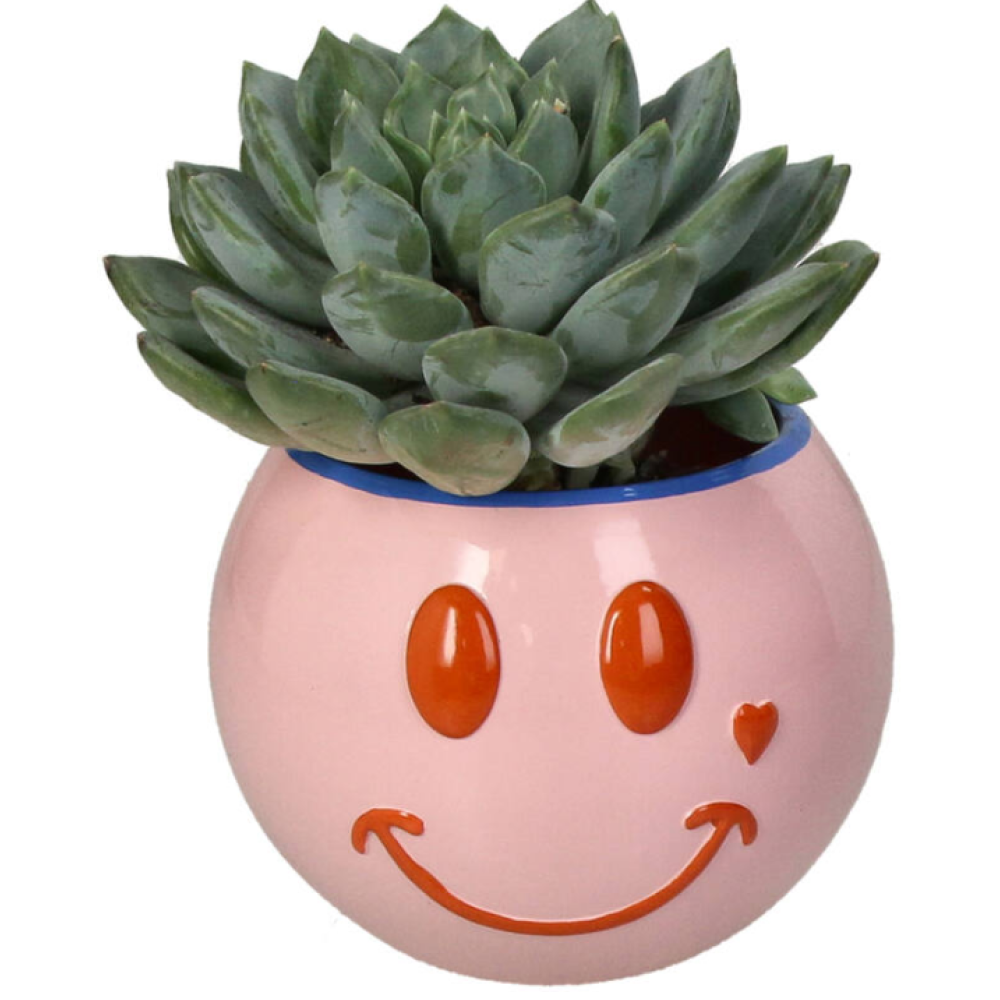 Кашпо "Smiley", полистоун, розовый