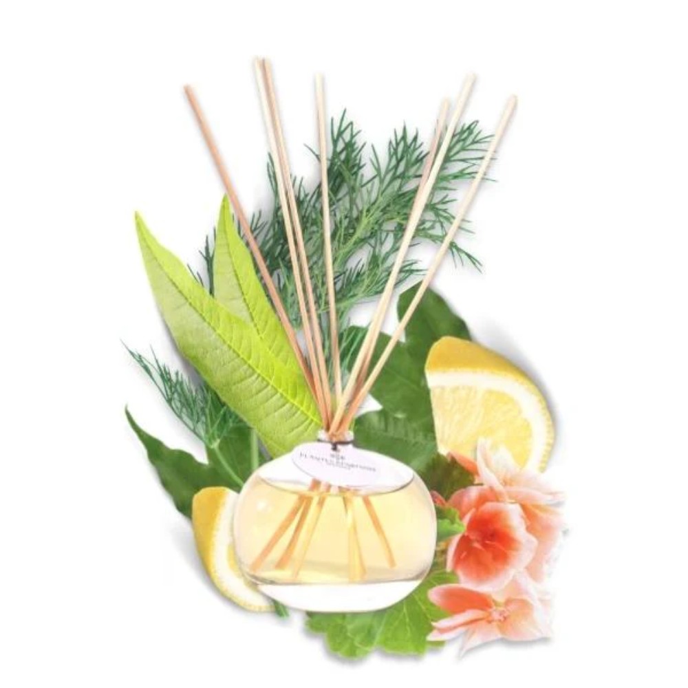 Диффузор ароматический PLANTES&PARFUMS "Fresh Verbena", 100 мл 