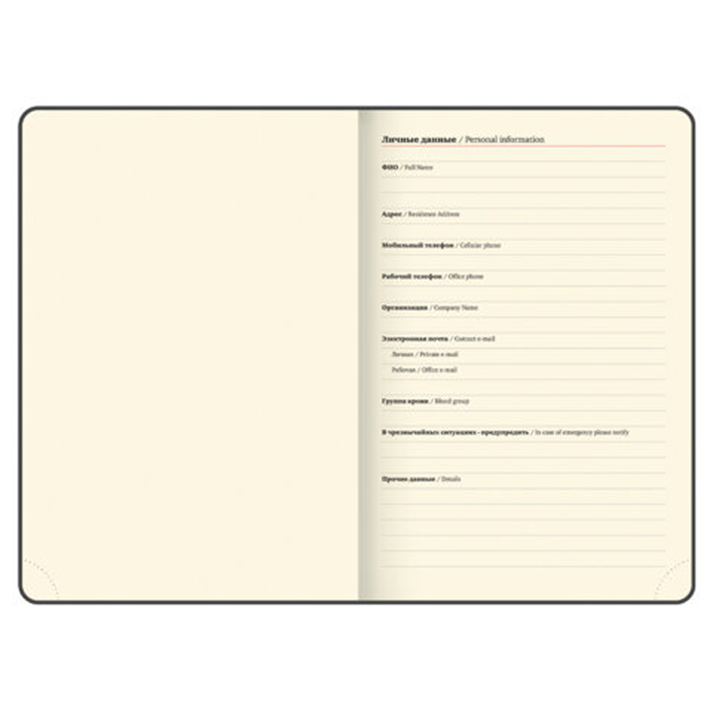 Ежедневник датированный "Iguana" на 2026 год, А6, 336 страниц, красный, срез золотой - 5