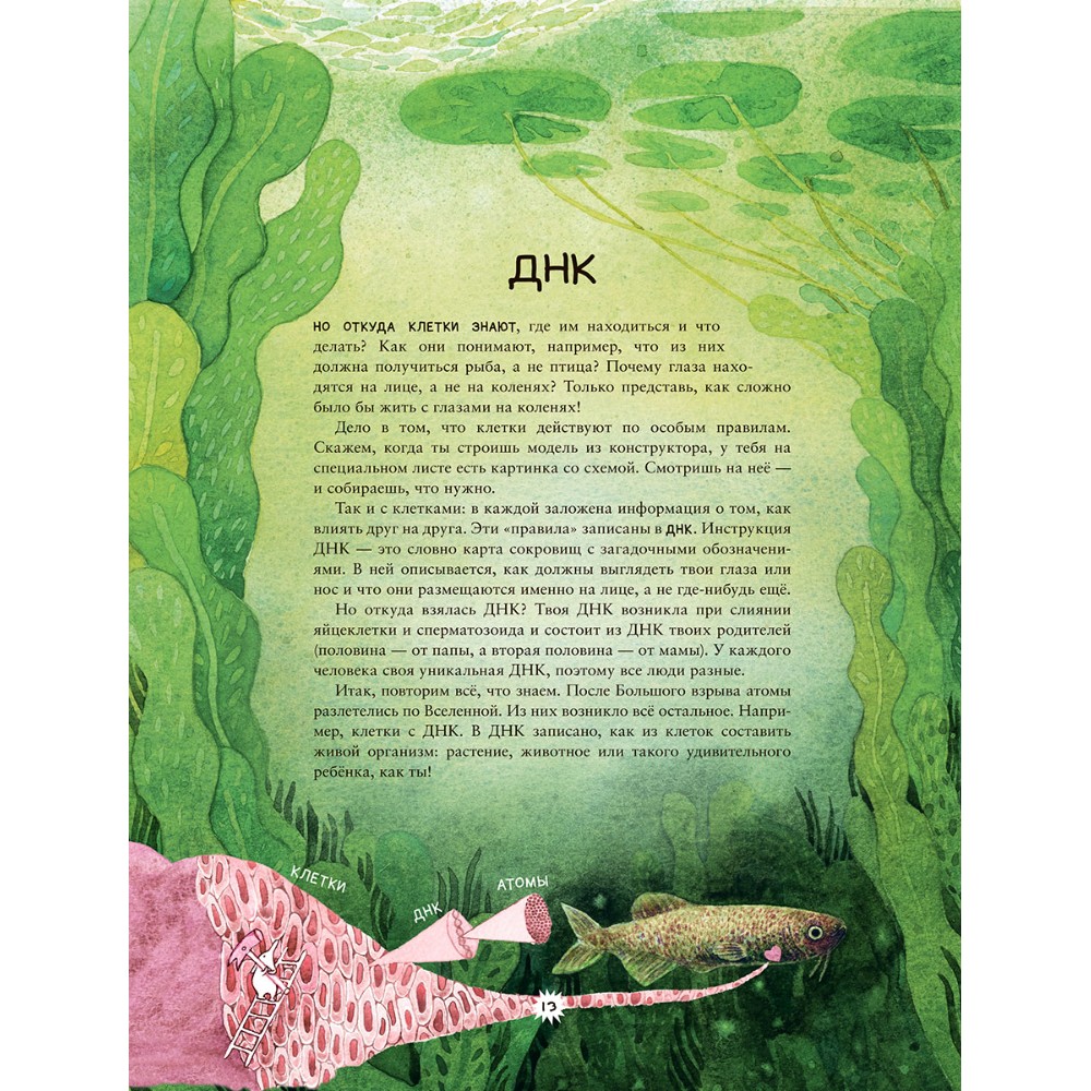 Книга "Калейдоскоп науки", Расмус Окерблум, Майя Йонссон - 7