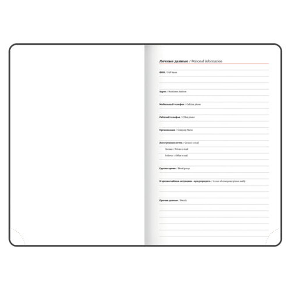 Ежедневник датированный "Plain" на 2026 год, А5, 336 страниц, фиолетовый - 6