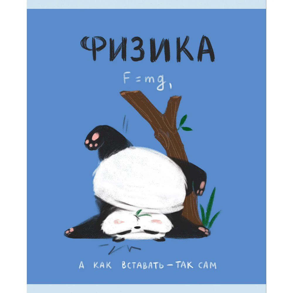 Тетрадь "Панда. Физика", А5, 48 листов, клетка 