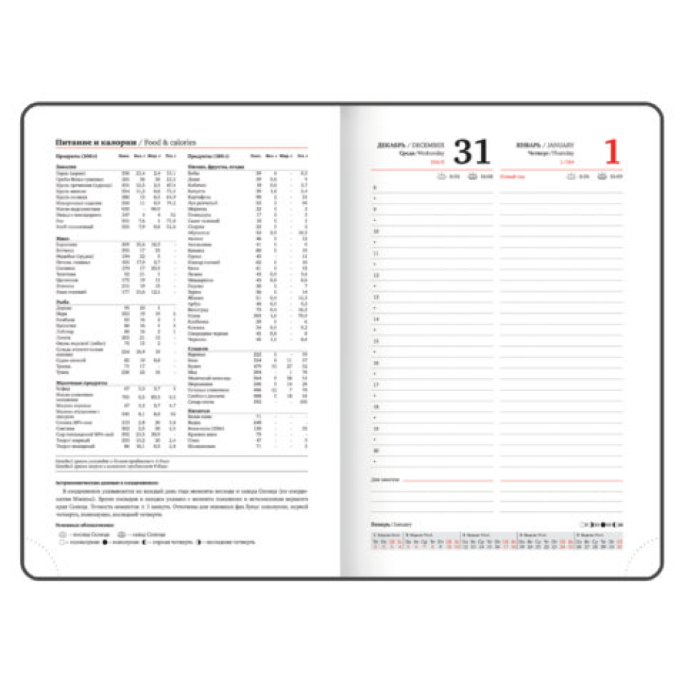 Ежедневник датированный "Plain" на 2026 год, А5, 336 страницы, синий - 11