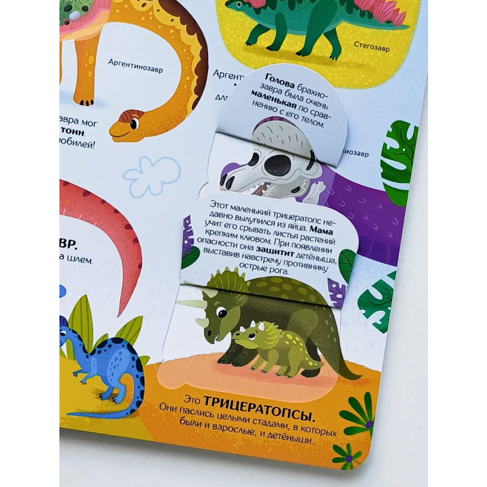 Книга "Книжка с окошками. Секреты динозавров" - 4