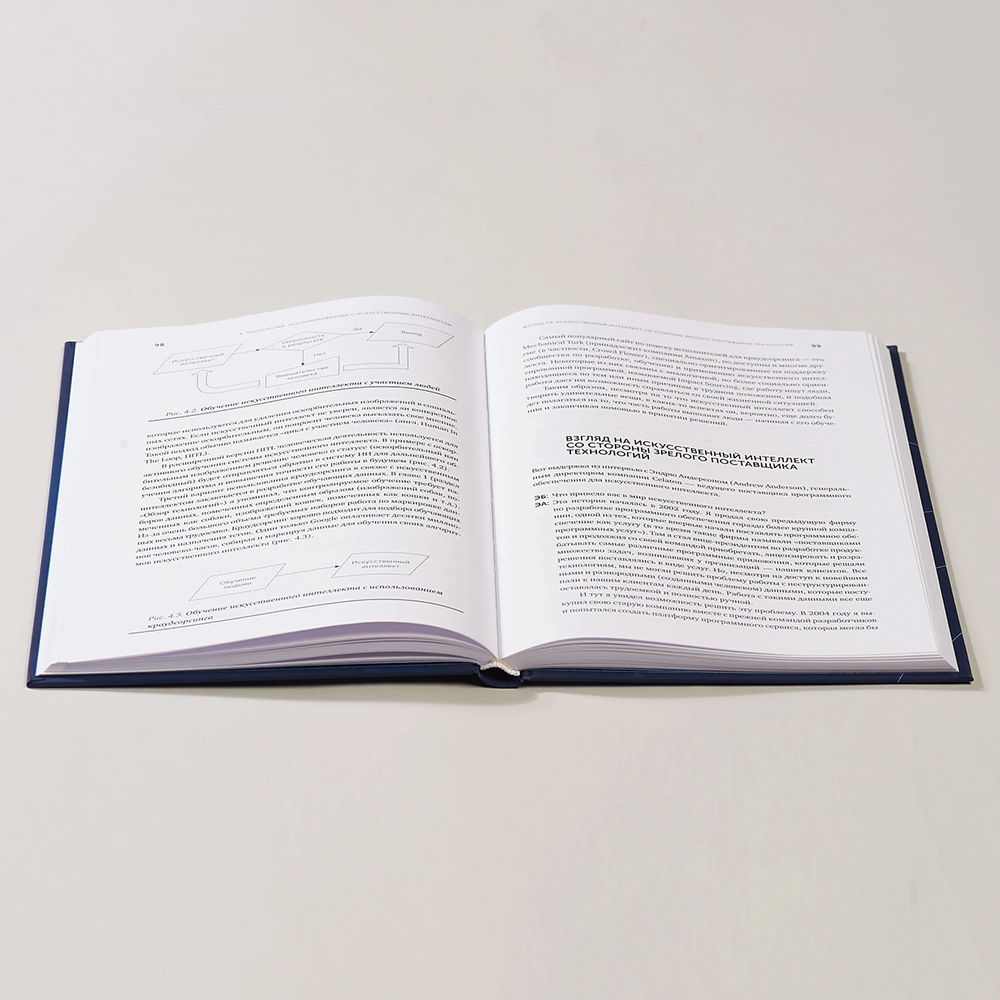 Книга "Искусственный интеллект — для вашего бизнеса. Руководство по оценке и применению", Эндрю Берджесс - 5