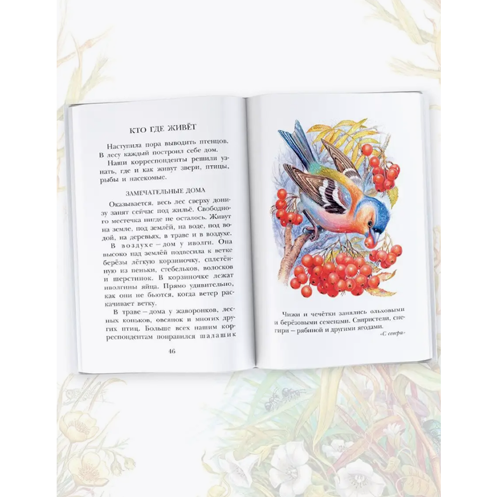 Книга "Детское чтение. Лесная газета. Рассказы", Виталий Бианки - 4