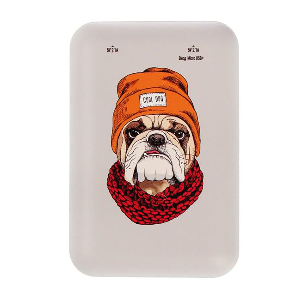 Внешний аккумулятор "Ritmix RPB-10007 BULLDOG", 10000 мА·ч