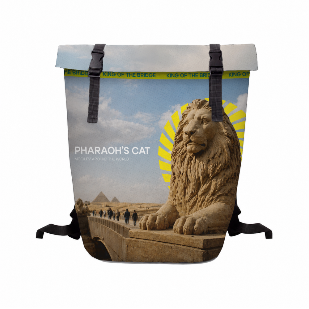 Рюкзак "Pharaoh's cat", ролл-мини, текстиль, разноцветный