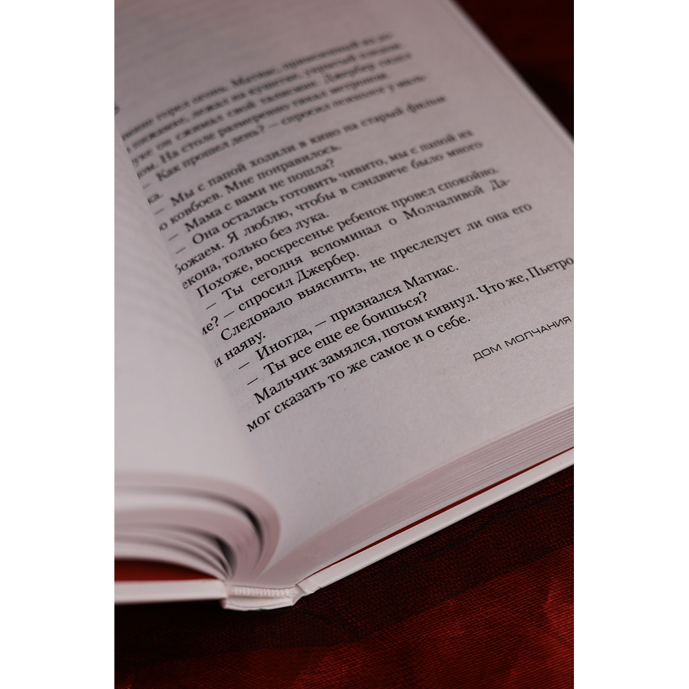 Книга "Дом молчания", Донато Карризи - 8