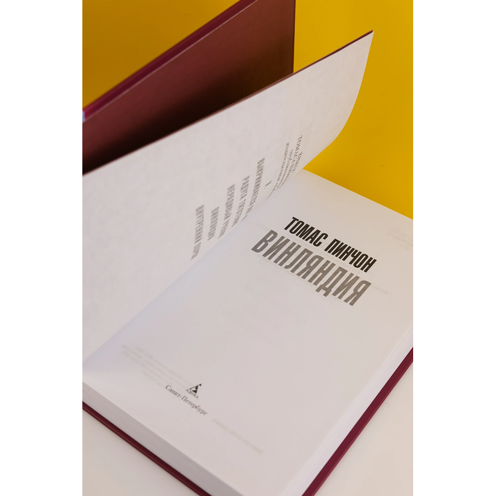 Книга "Винляндия", Томас Пинчон - 4