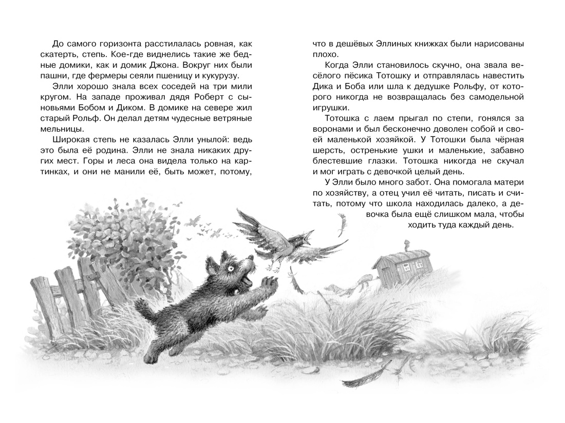 Книга "ЧЛУ. Волшебник Изумрудного города", Александр Волков - 3