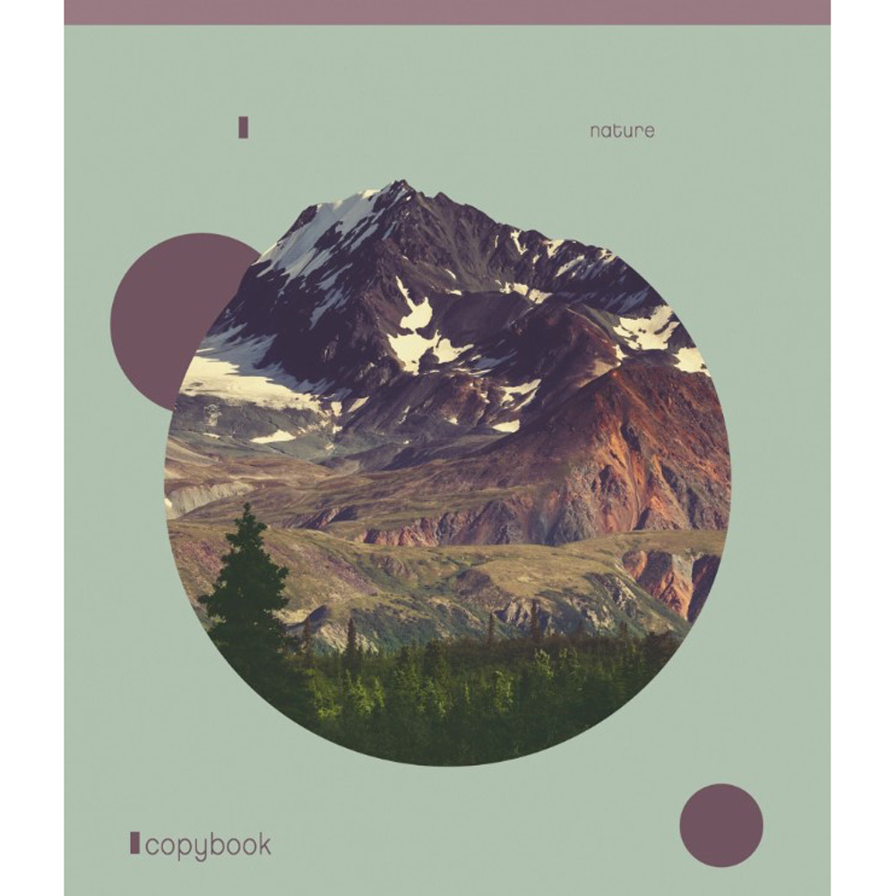 Тетрадь Listoff "Гармония", А5, 96 листов, линейка, ассорти - 4