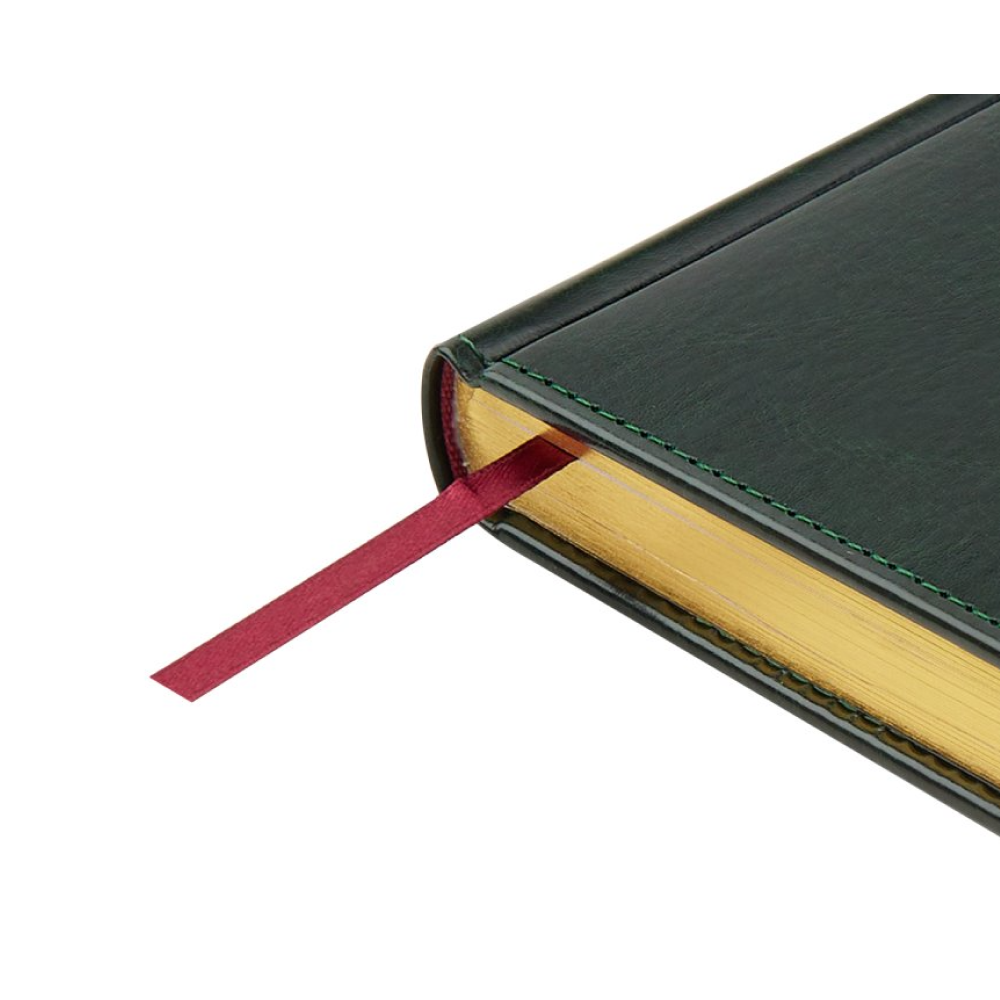 Ежедневник датированный А5 "Sidney Nebraska" 2026, зеленый, срез золотистый - 5