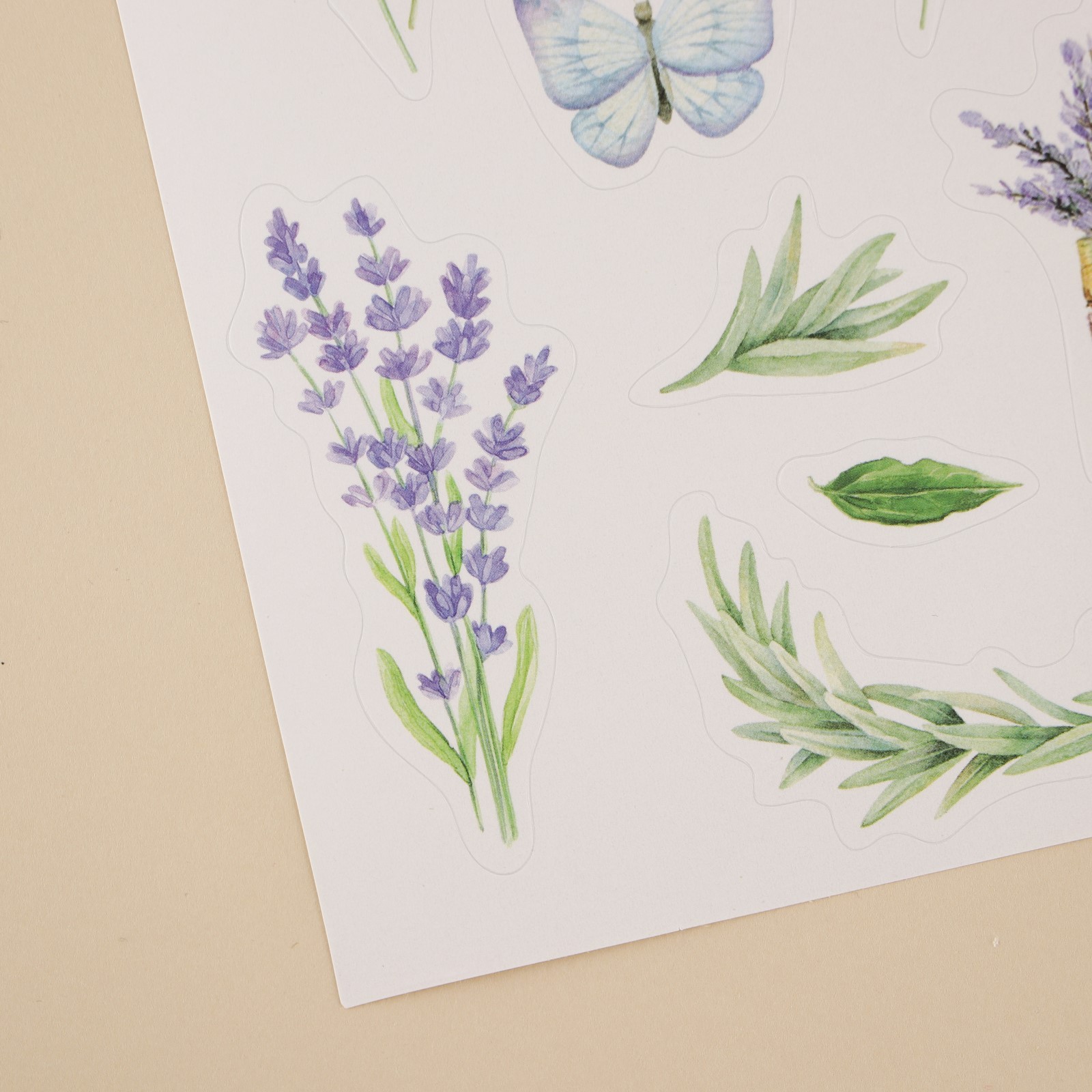 Наклейка бумажная "Лаванда", 1 лист 14x21 см